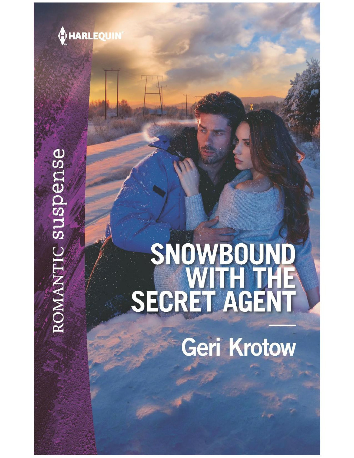 Snowbound With The Secret Agent Geri Krotow