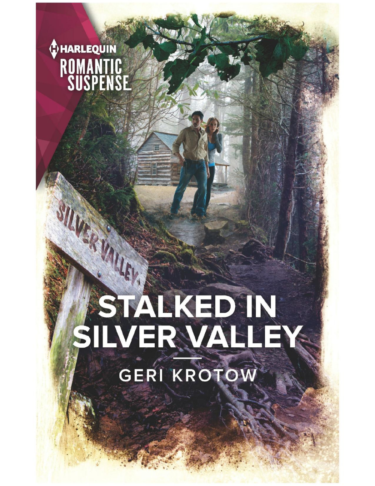Stalked In Silver Valley Geri Krotow