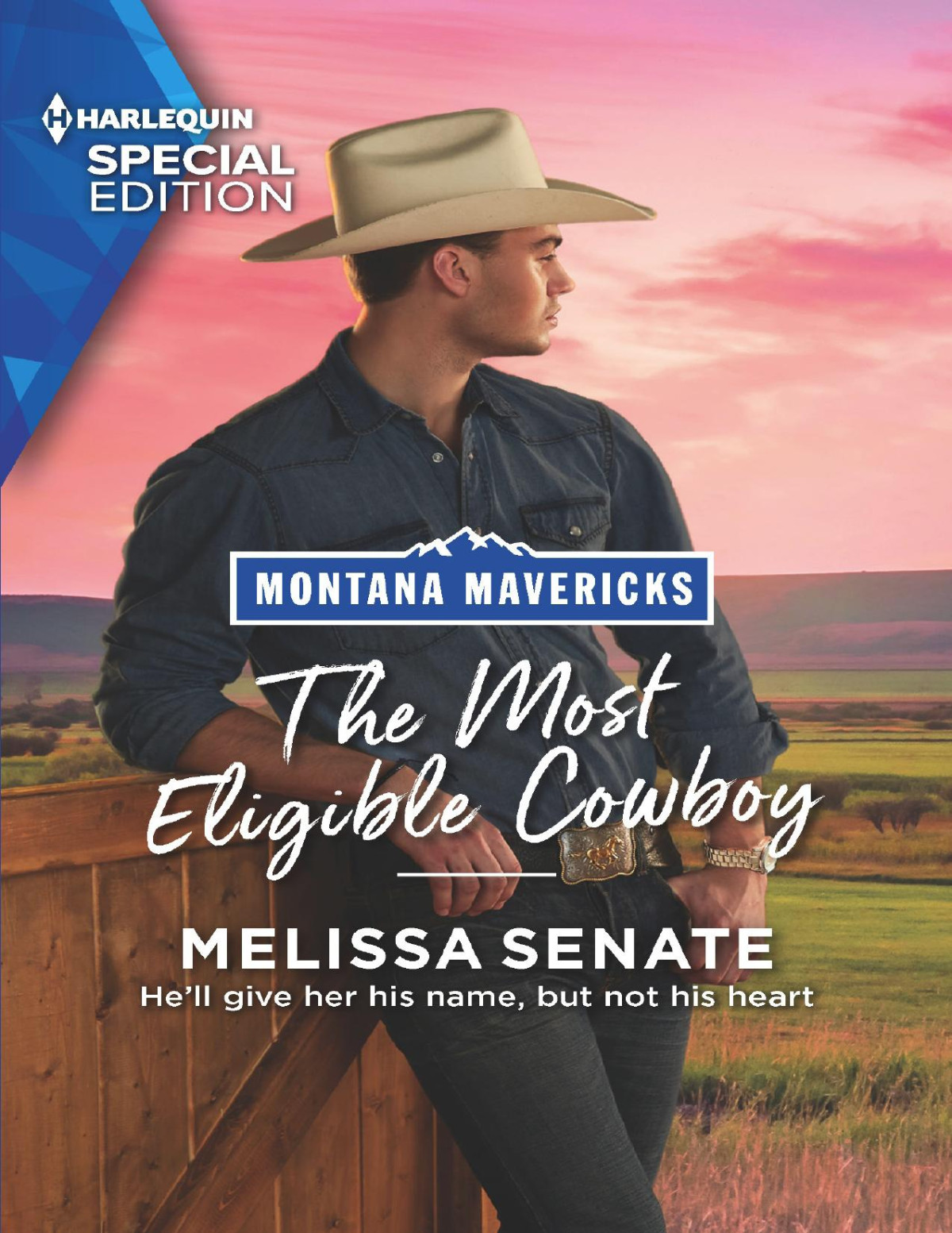 The Most Eligible Cowboy Melissa Senate