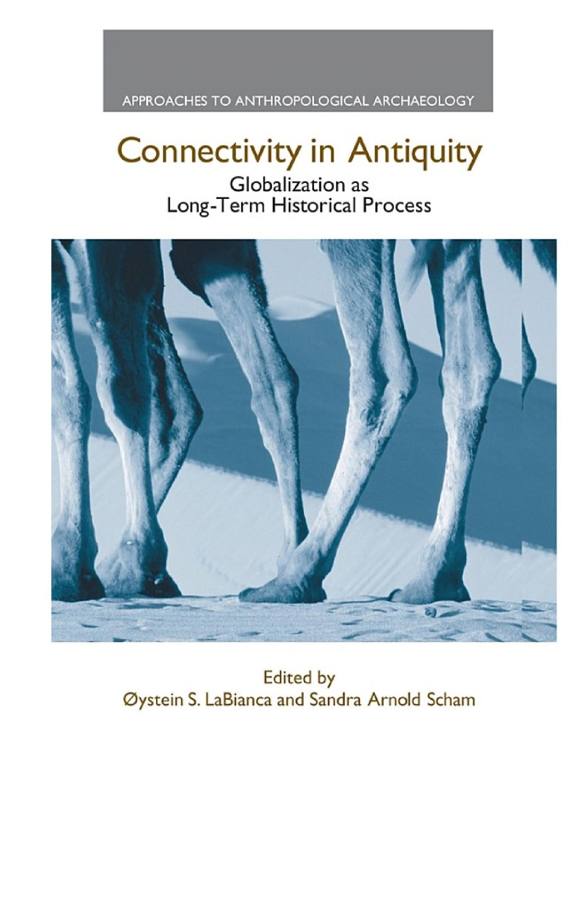 Connectivity In Antiquity Globalization As A Longterm Historical Process Oystein S Labianca Sandra Arnold Scham