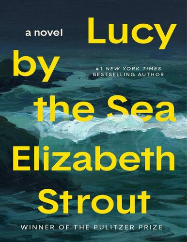 Lucy By The Sea Elizabeth Strout