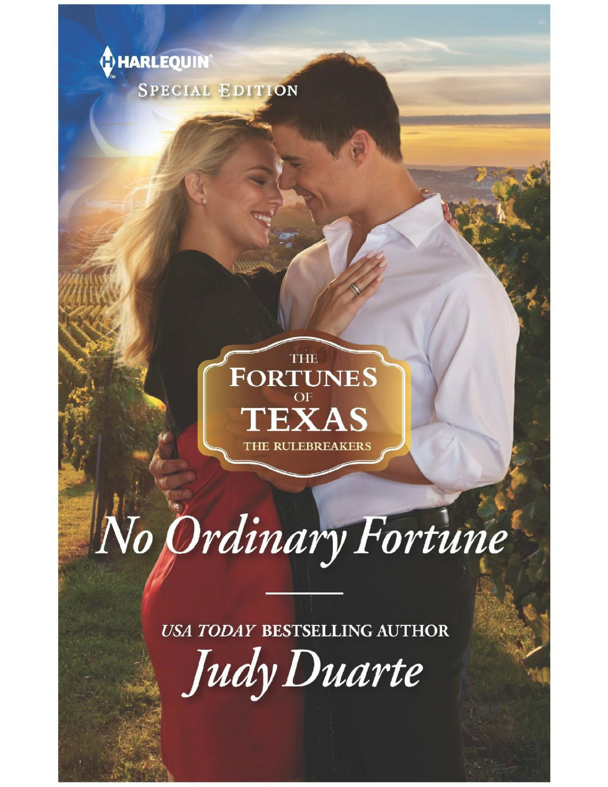 No Ordinary Fortune Judy Duarte