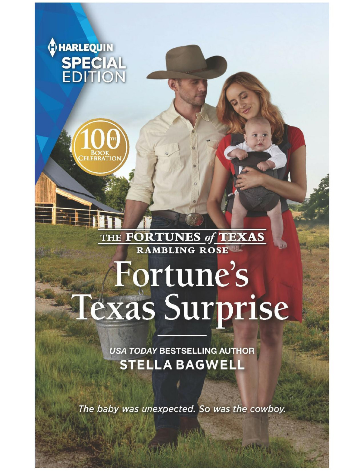 Fortunes Texas Surprise Stella Bagwell