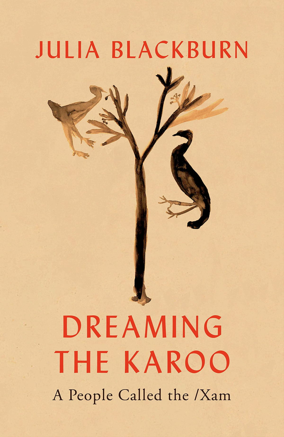 Dreaming The Karoo A People Called The Xam Julia Blackburn