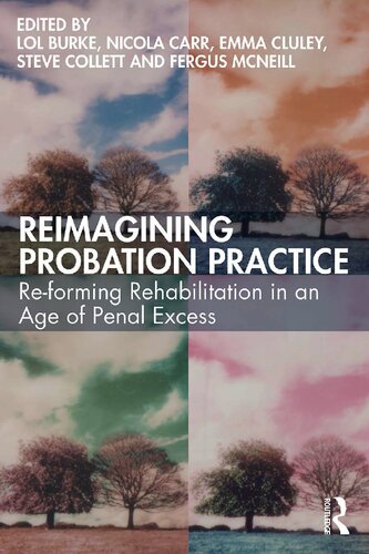 Reimagining Probation Practice Reforming Rehabilitation In An Age Of Penal Excess Lol Burke