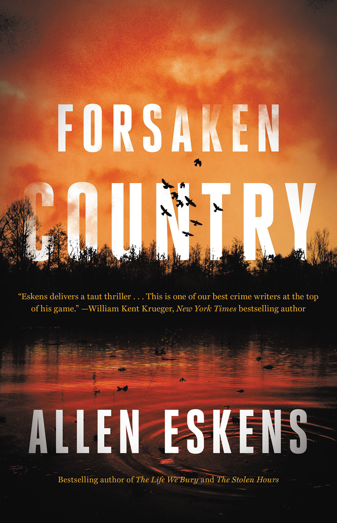 Forsaken Country Allen Eskens