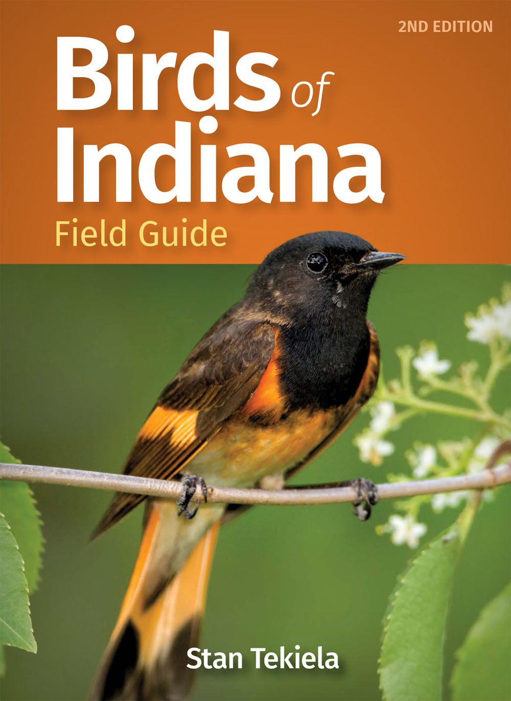 Birds Of Indiana Field Guide Stan Tekiela