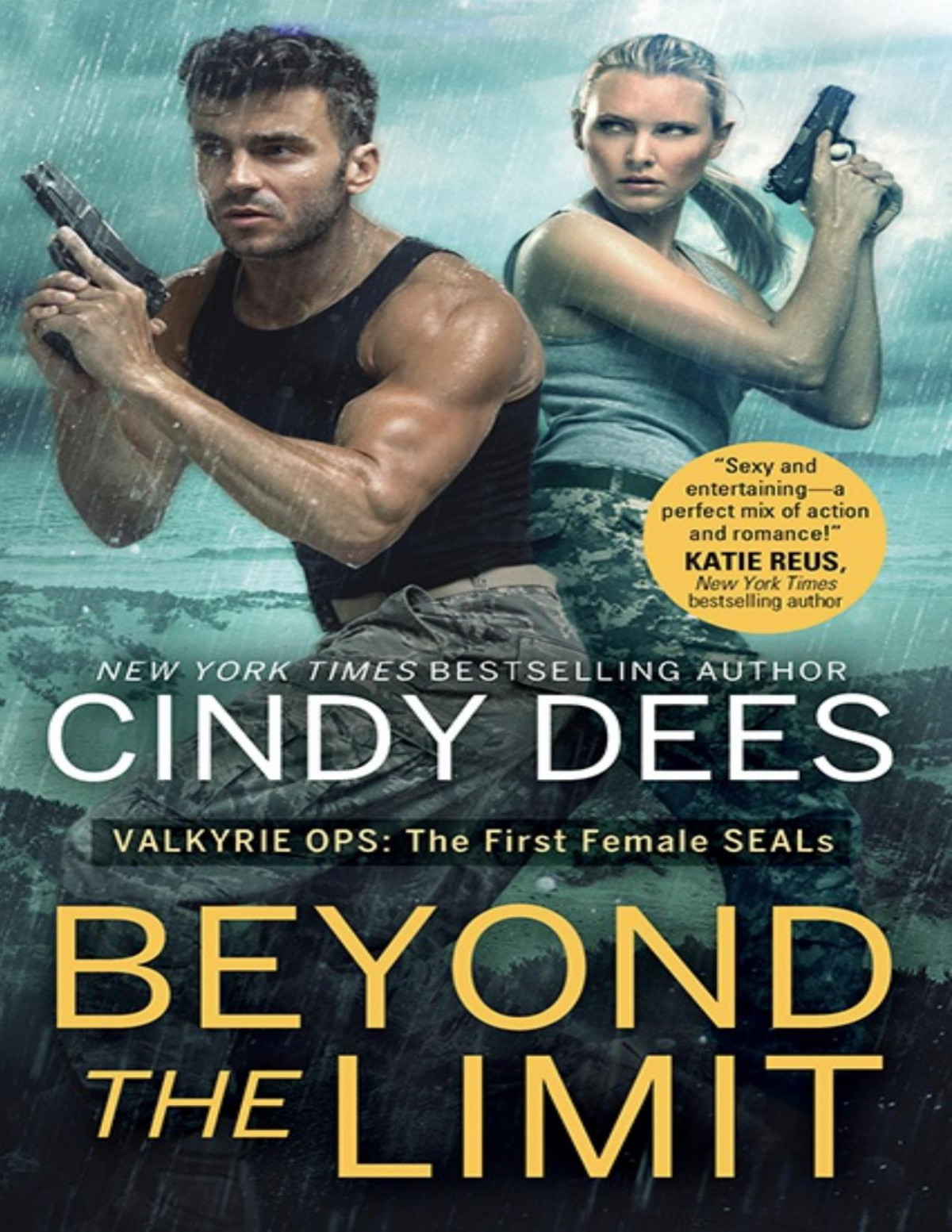 Beyond The Limit Cindy Dees