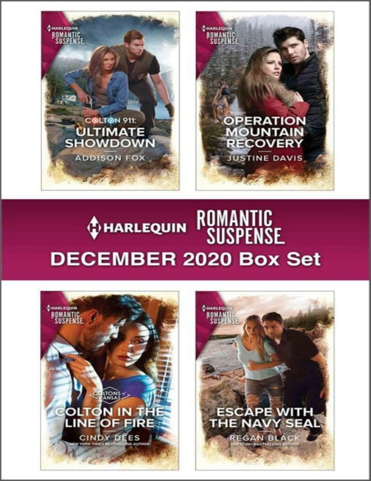 Harlequin Romantic Suspense December 2020 Box Set Addison Fox