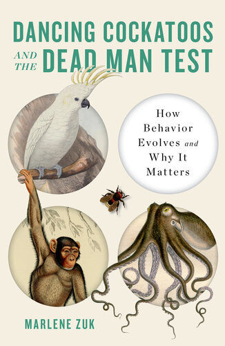 Dancing Cockatoos And The Dead Man Test Marlene Zuk