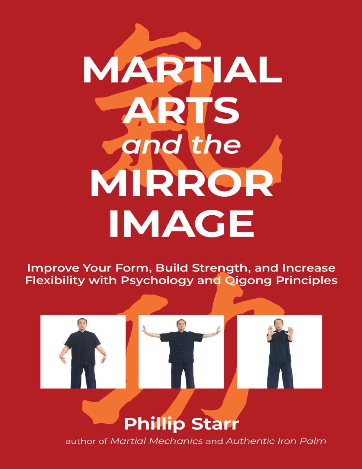 Martial Arts And The Mirror Image Ebook Phillip Starr