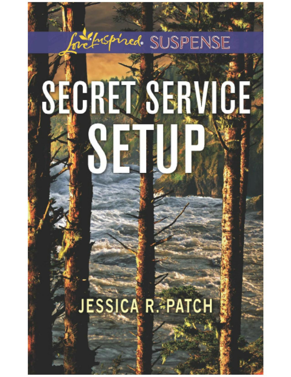 Secret Service Setup Jessica R Patch