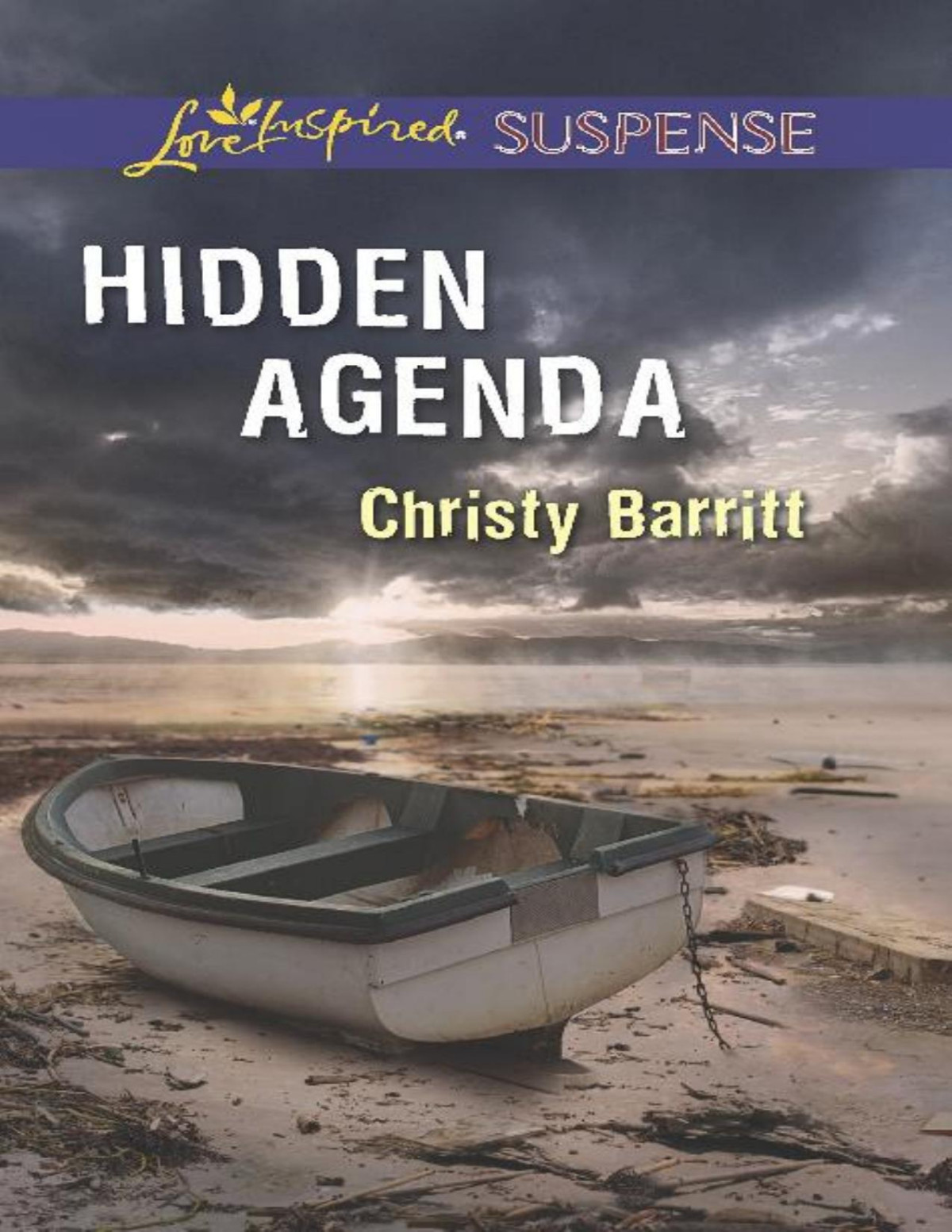 Hidden Agenda Christy Barritt