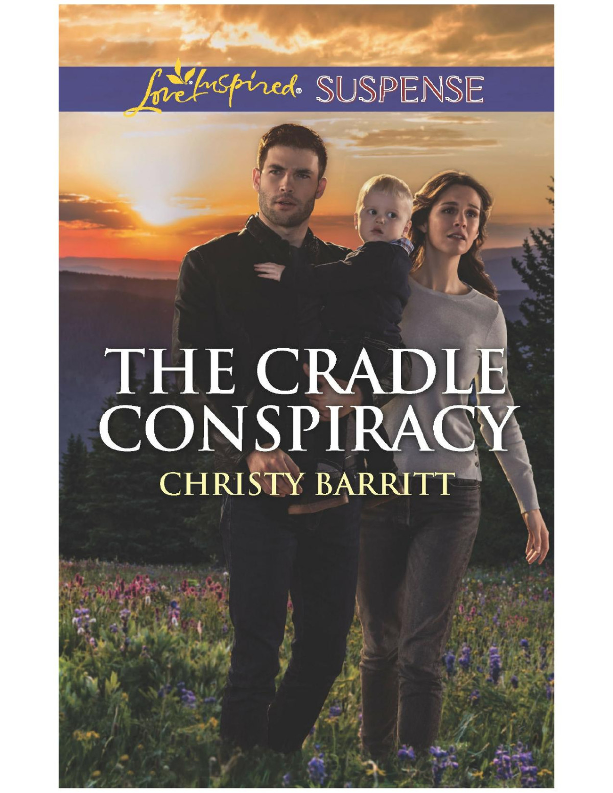 The Cradle Conspiracy Christy Barritt