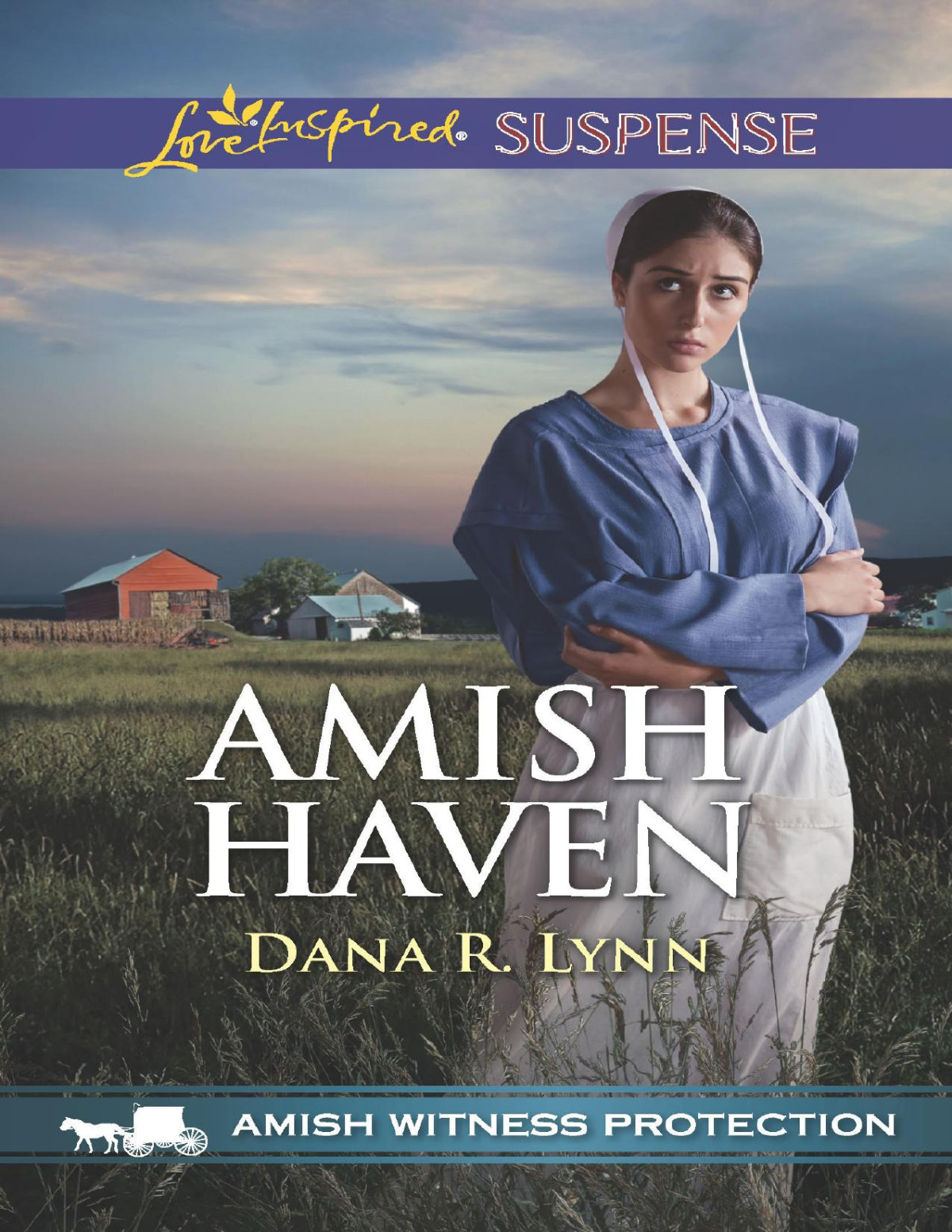 Amish Haven Dana R Lynn