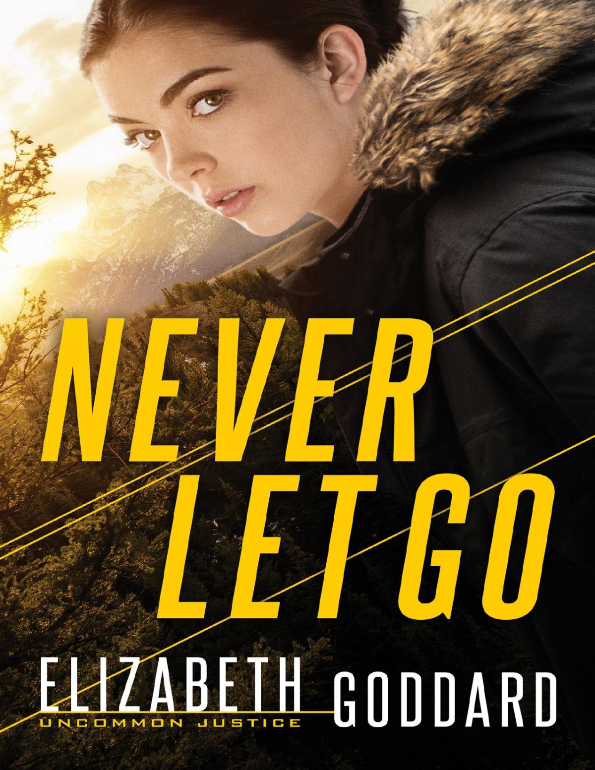 Never Let Go Elizabeth Goddard