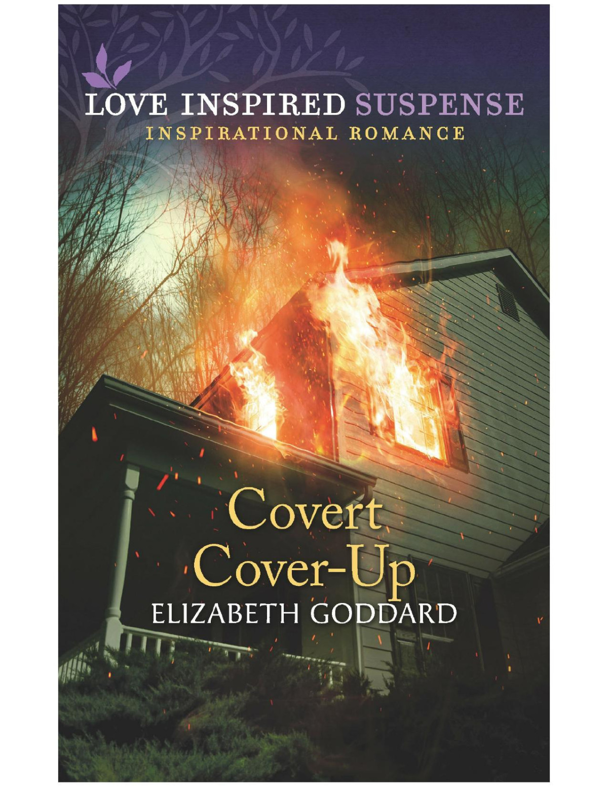Covert Coverup Elizabeth Goddard
