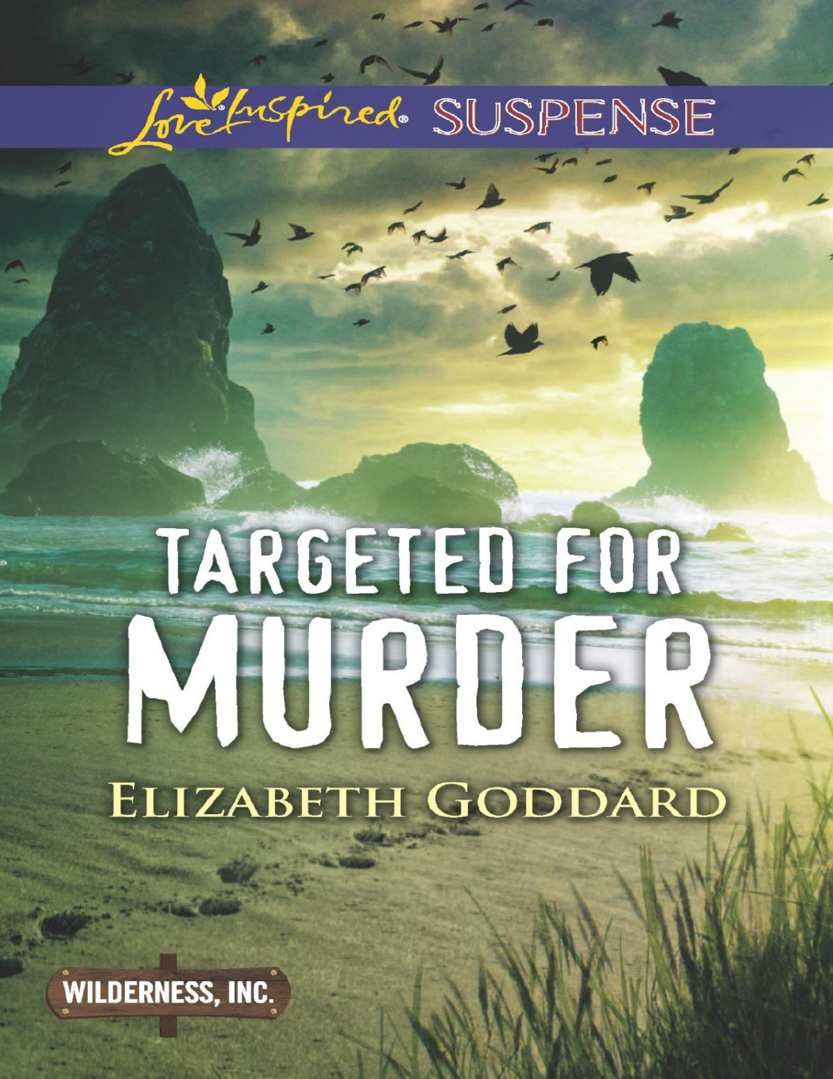 Targeted For Murder Elizabeth Goddard