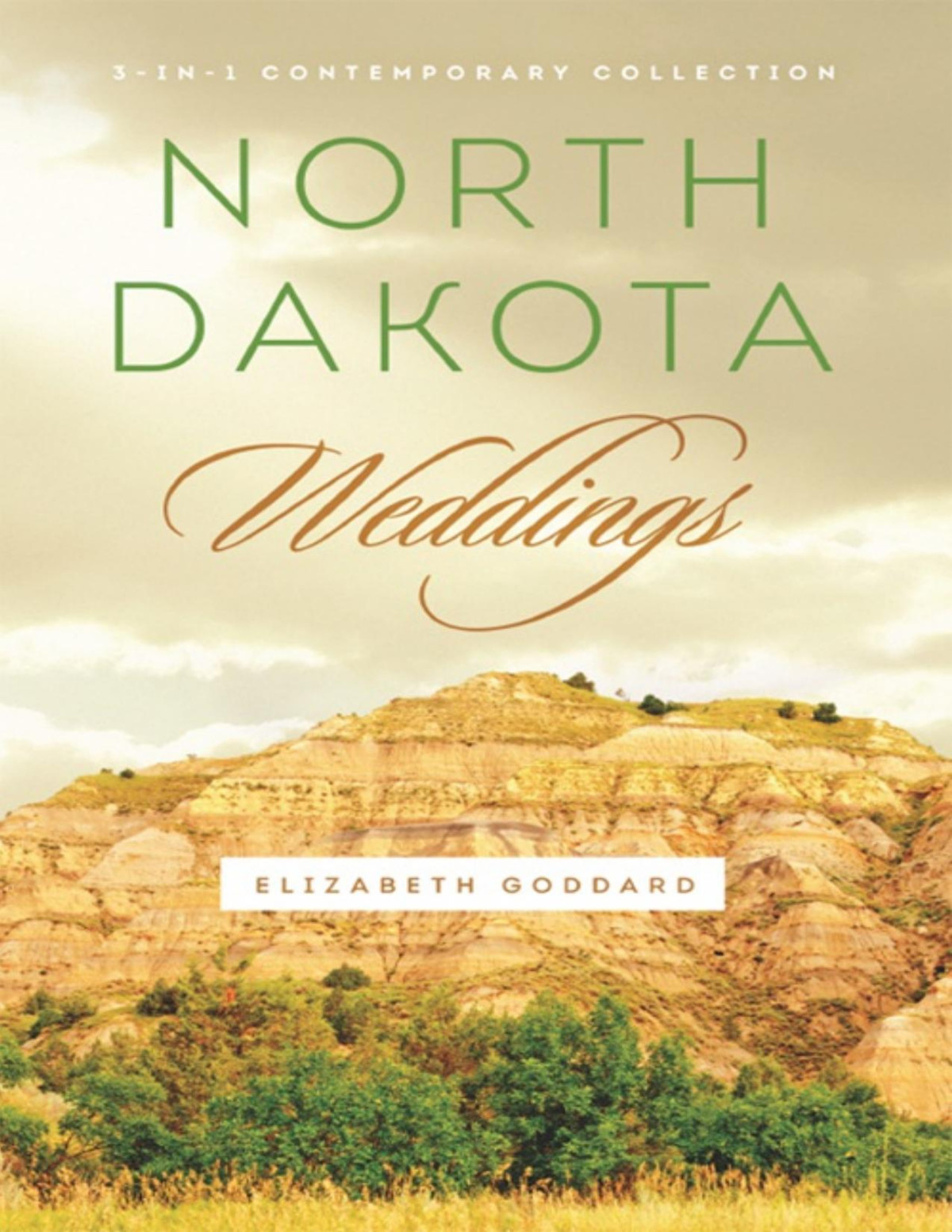 North Dakota Weddings Elizabeth Goddard