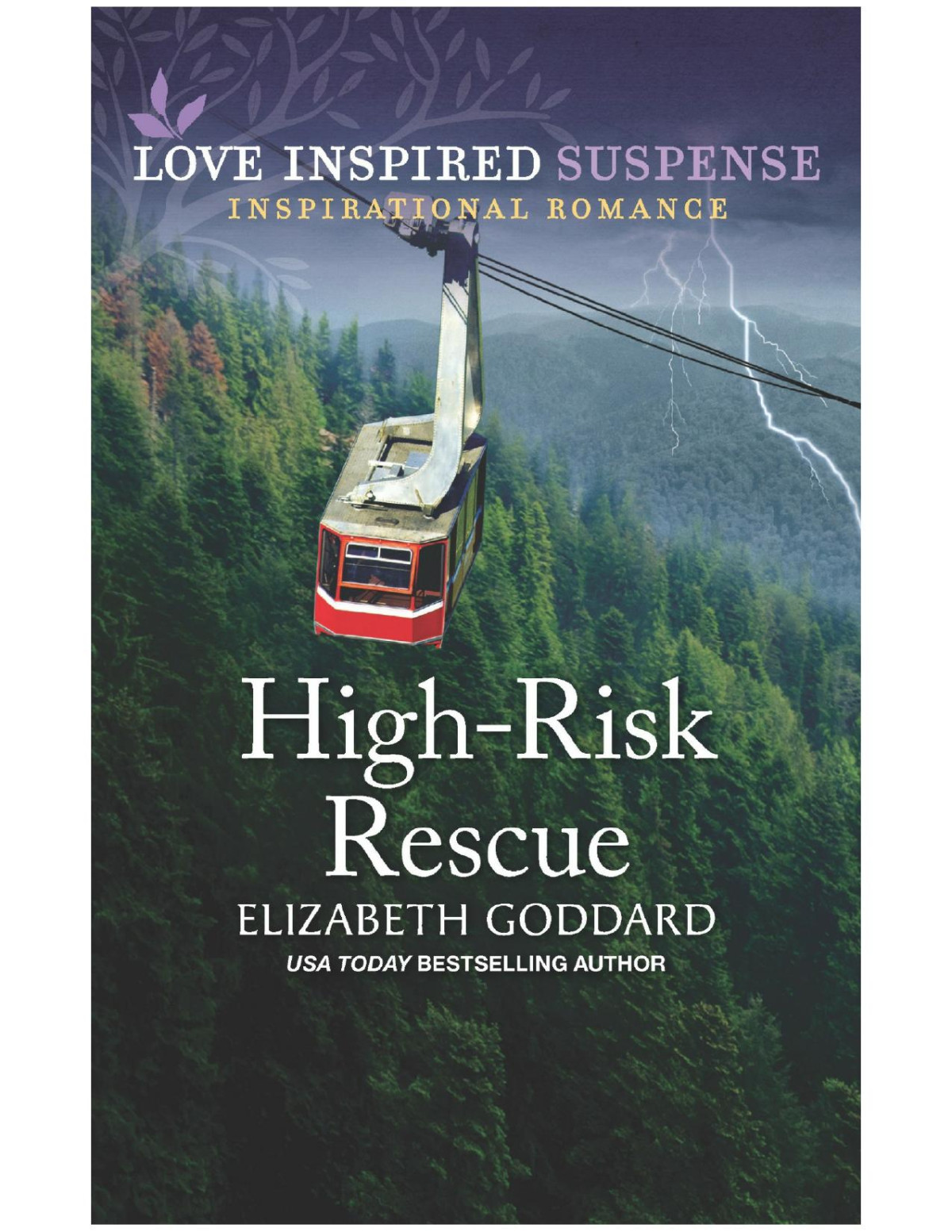 Hp01 Highrisk Rescue Elizabeth Goddard