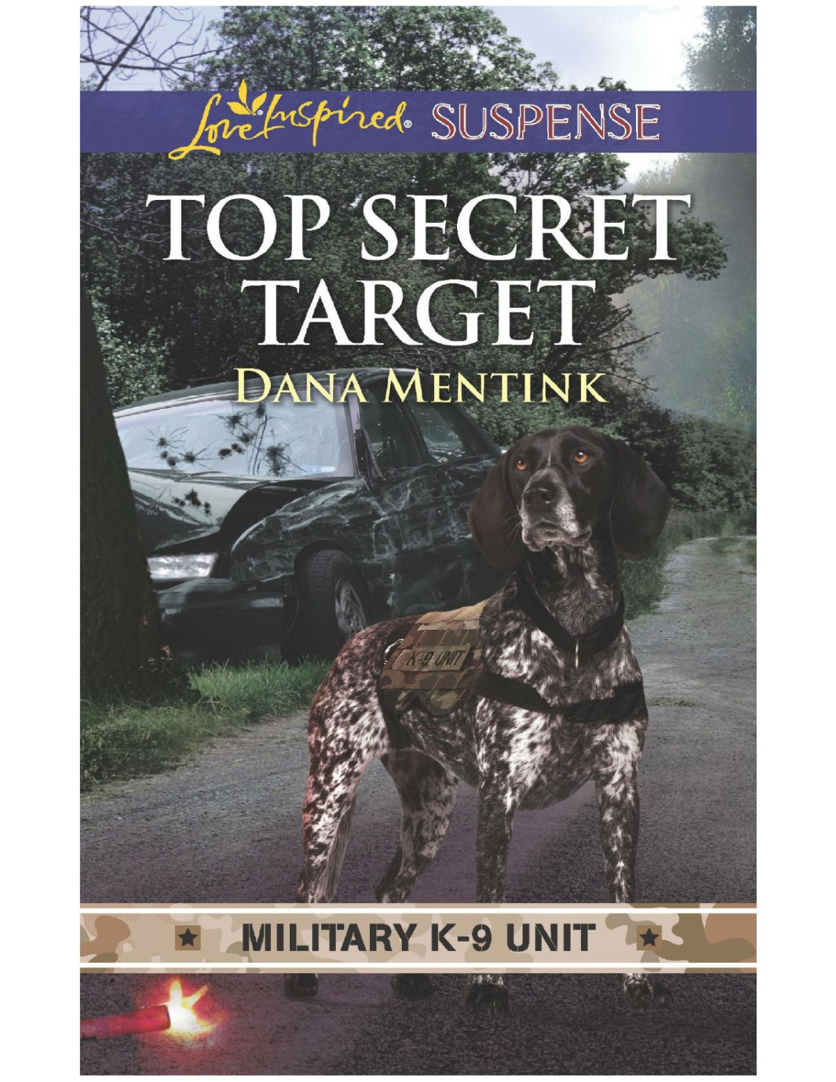 Top Secret Target Dana Mentink