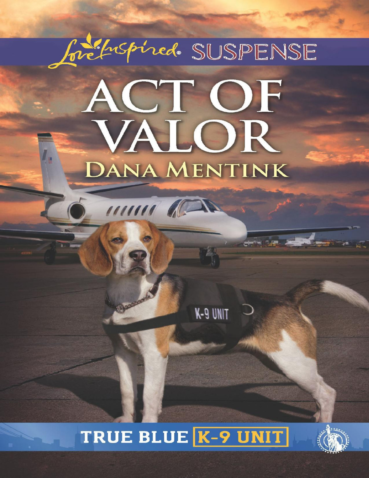 Act Of Valor Dana Mentink
