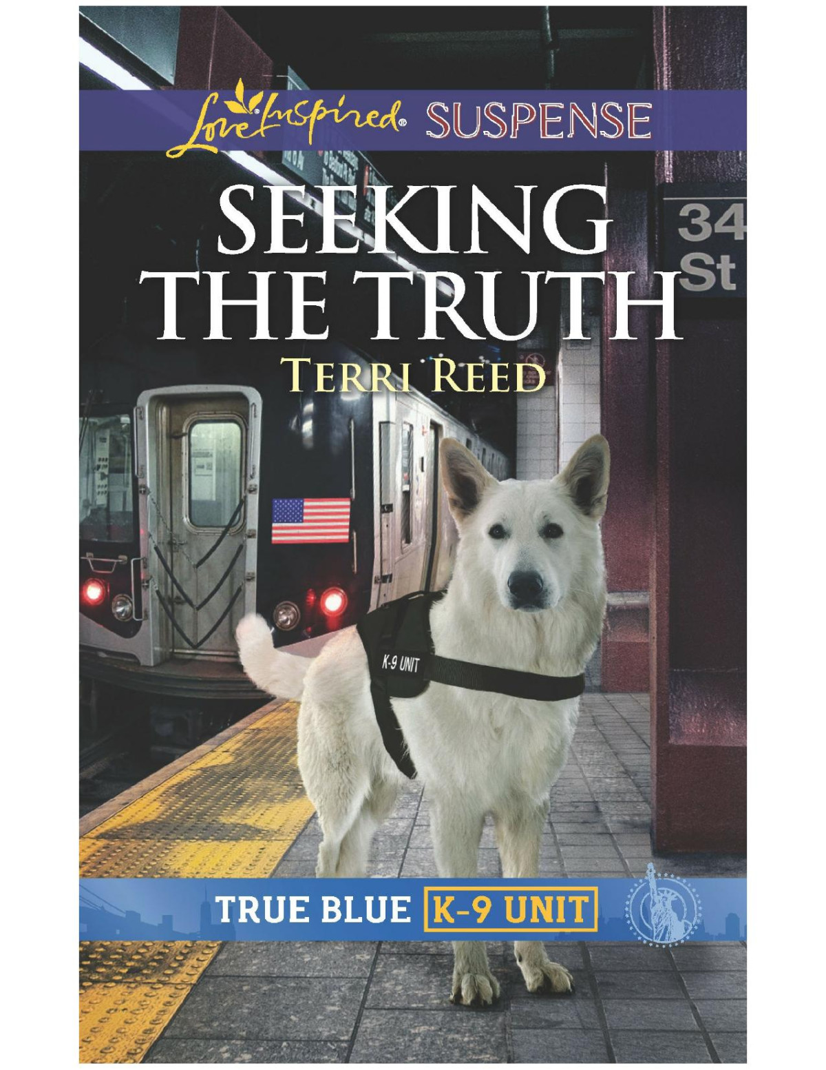 Seeking The Truth Terri Reed