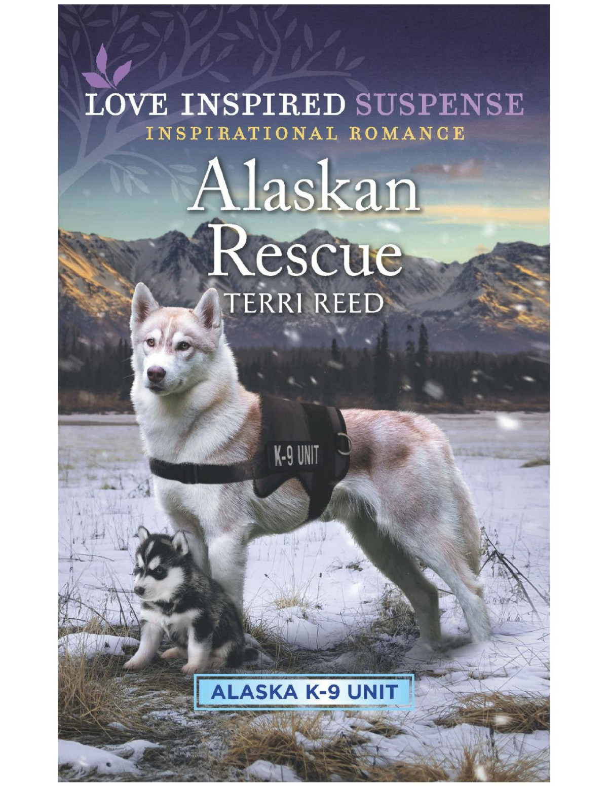 Alaskan Rescue Terri Reed
