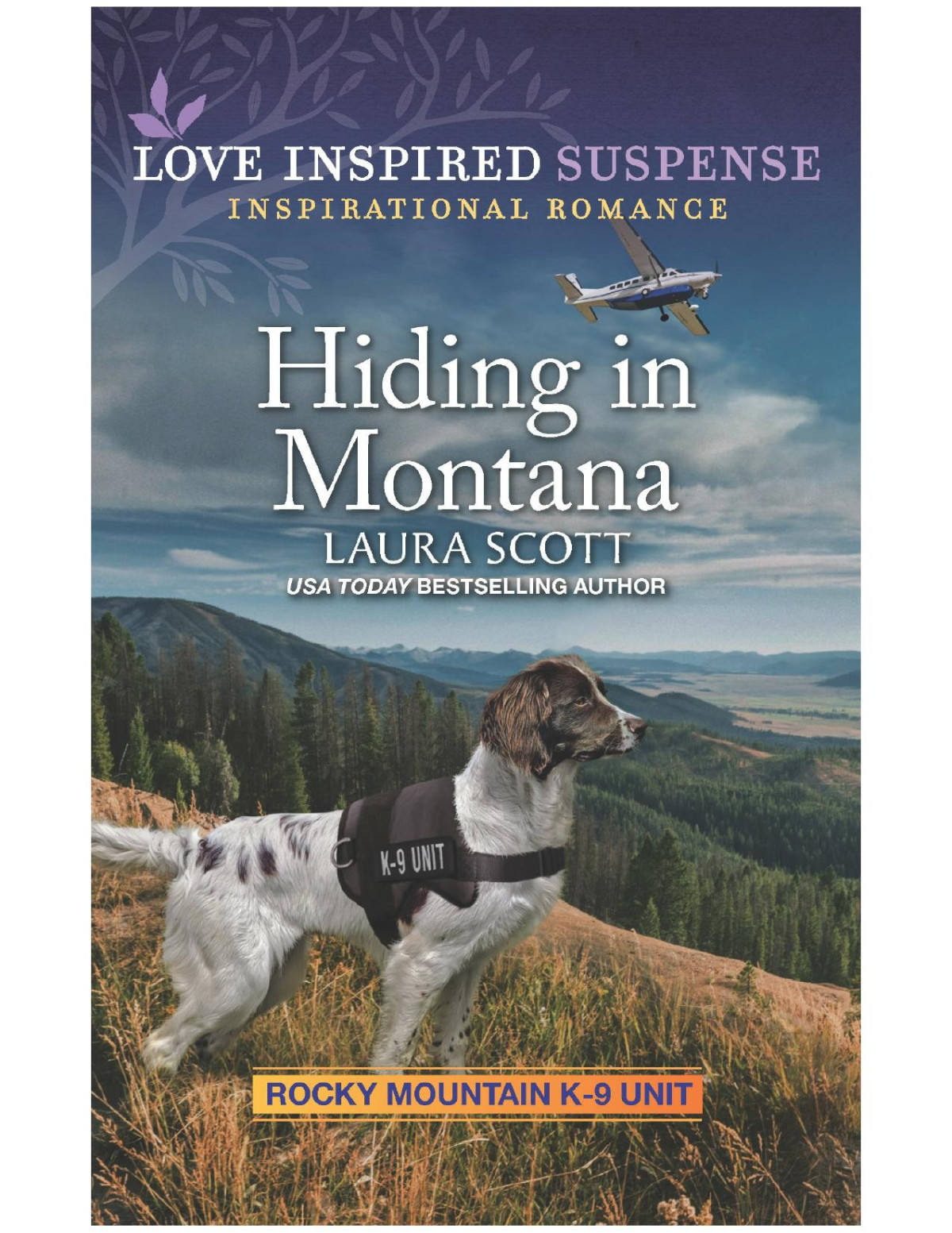 Hiding In Montana Laura Scott