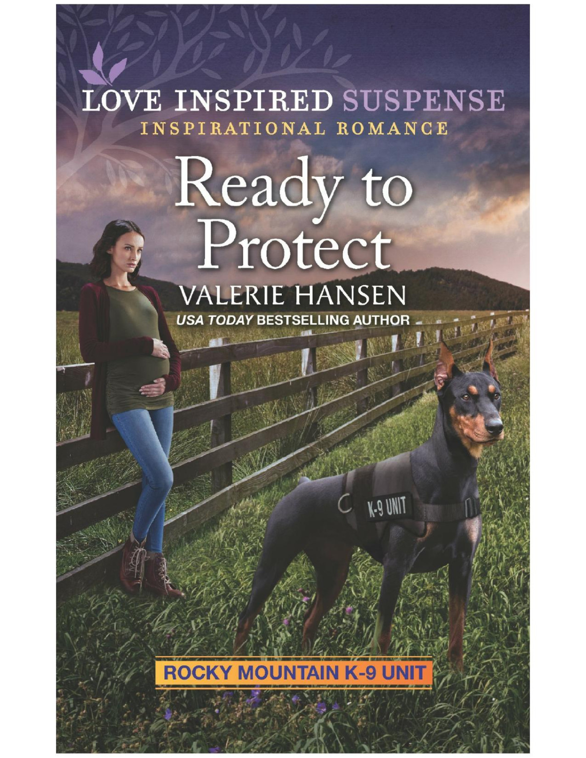 Ready To Protect Valerie Hansen