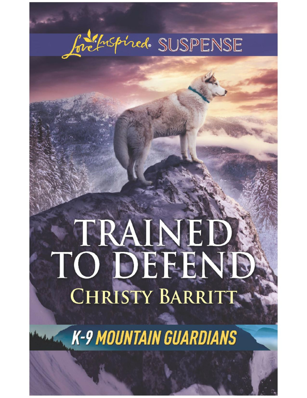 Trained To Defend Christy Barritt