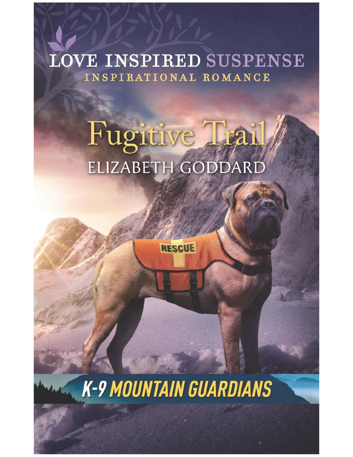 Fugitive Trail Elizabeth Goddard