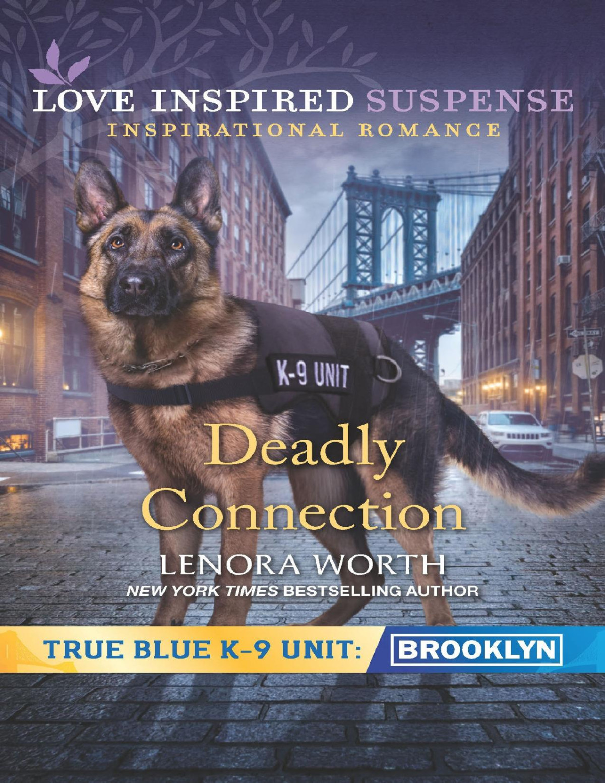 Deadly Connection Lenora Worth