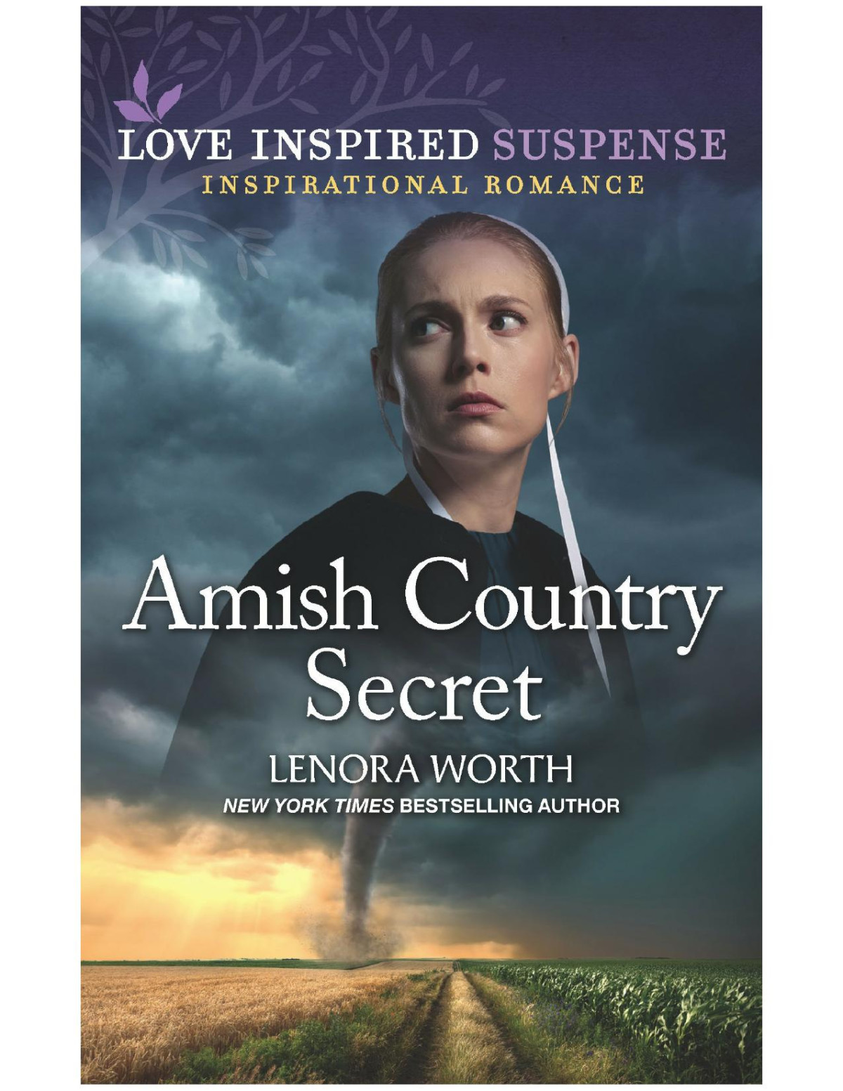 Amish Country Secret Lenora Worth