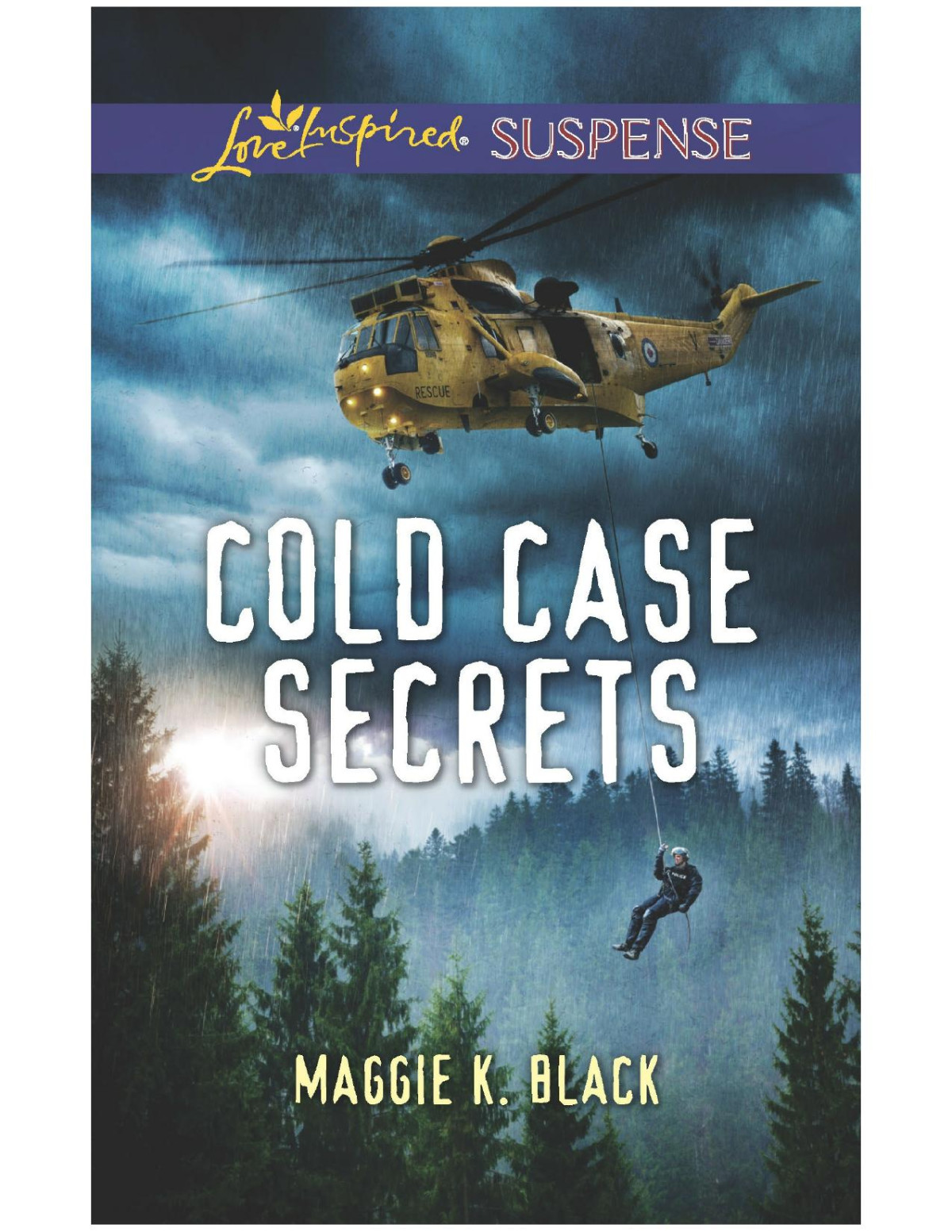 Cold Case Secrets Maggie K Black
