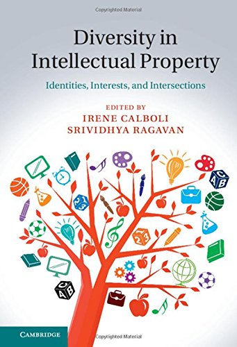 Diversity In Intellectual Property Identities Interests And Intersections 1st Edition Irene Calboli