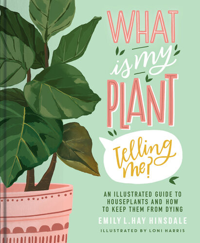 What Is My Plant Telling Me An Illustrated Guide To Houseplants And How To Keep Them Alive Emily L Hay Hinsdale