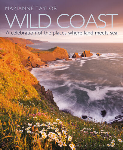 Wild Coast An Exploration Of The Places Where Land Meets Sea 1st Edition Marianne Taylor