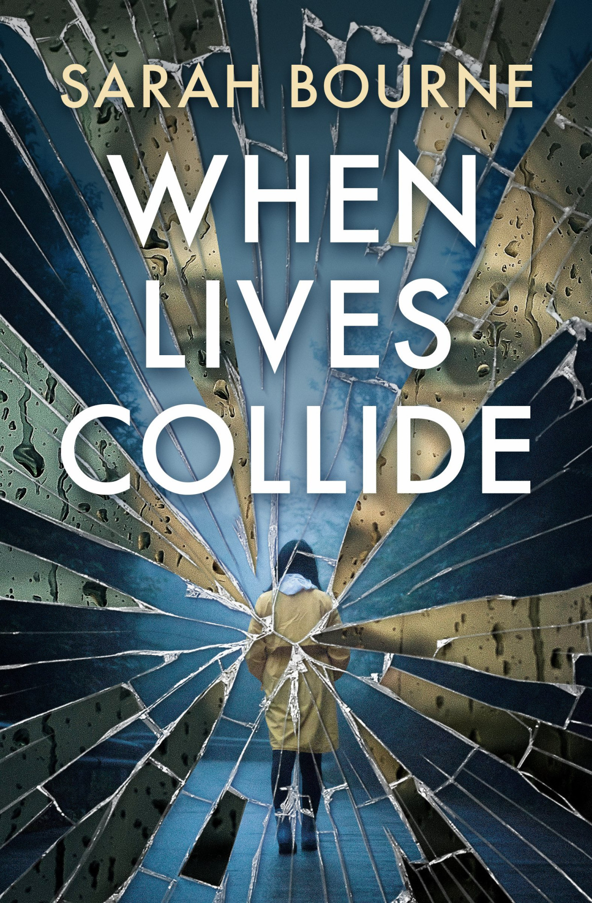 When Lives Collide Sarah Bourne