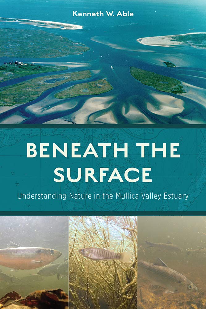 Beneath The Surface Understanding Nature In The Mullica Valley Estuary None Kenneth W Able