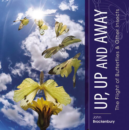 Up Up And Away John Brackenbury