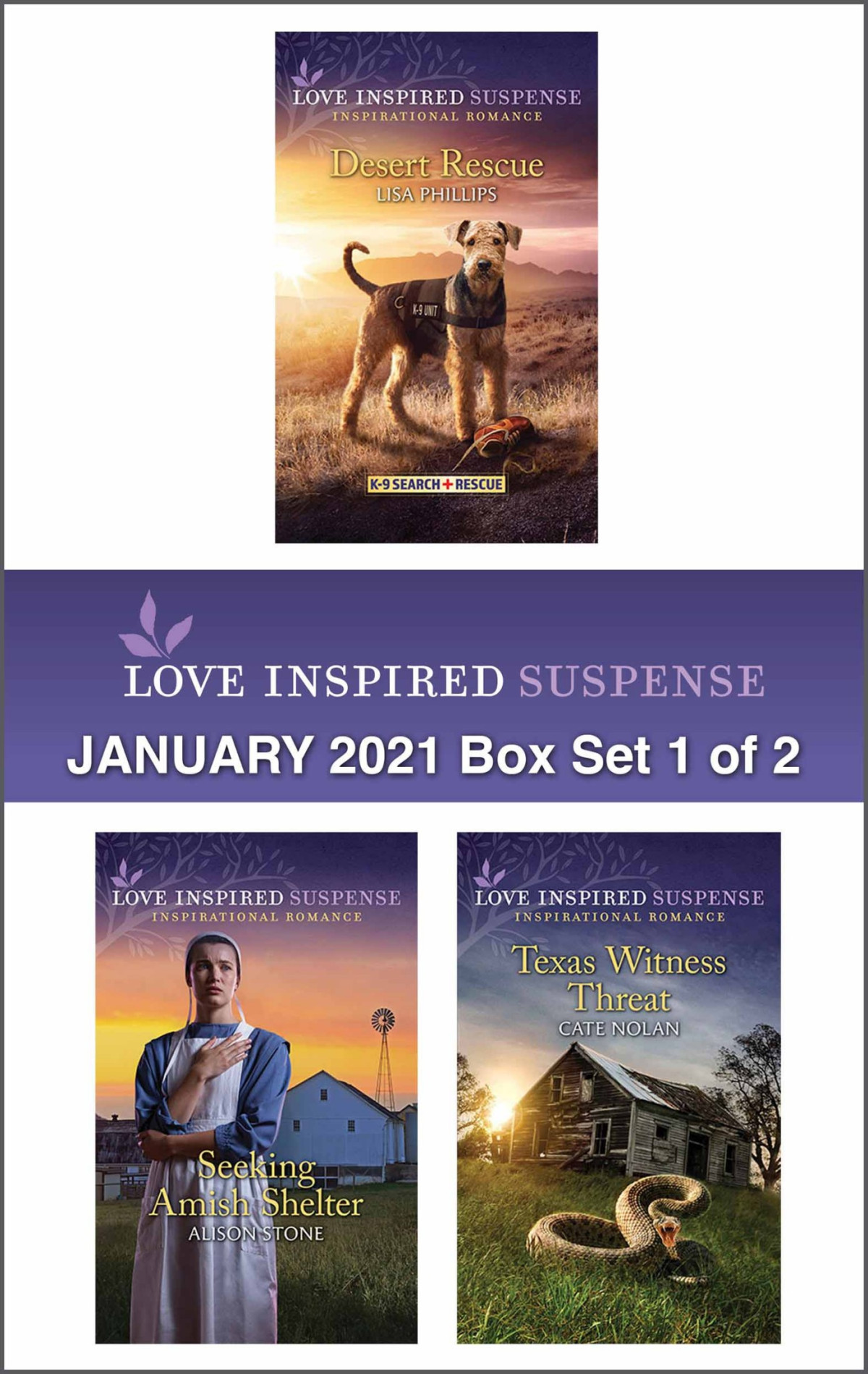 Harlequin Love Inspired Suspense January 2021 Box Set 1 Of 2 Lisa Phillips