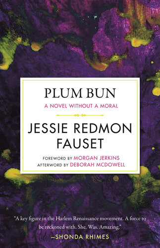 Plum Bun A Novel Without A Moral Jessie Redmon Fauset