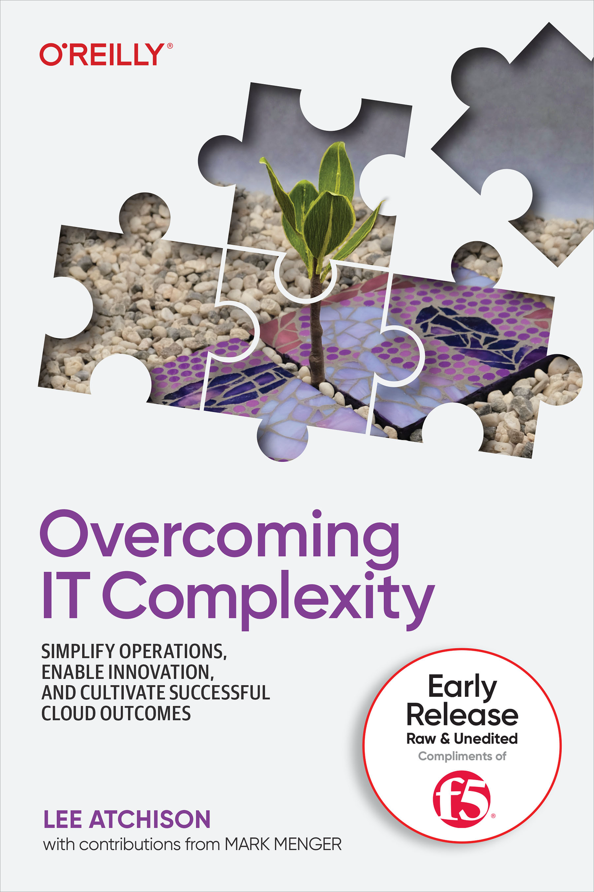 Overcoming It Complexity Third Early Release Lee Atchison