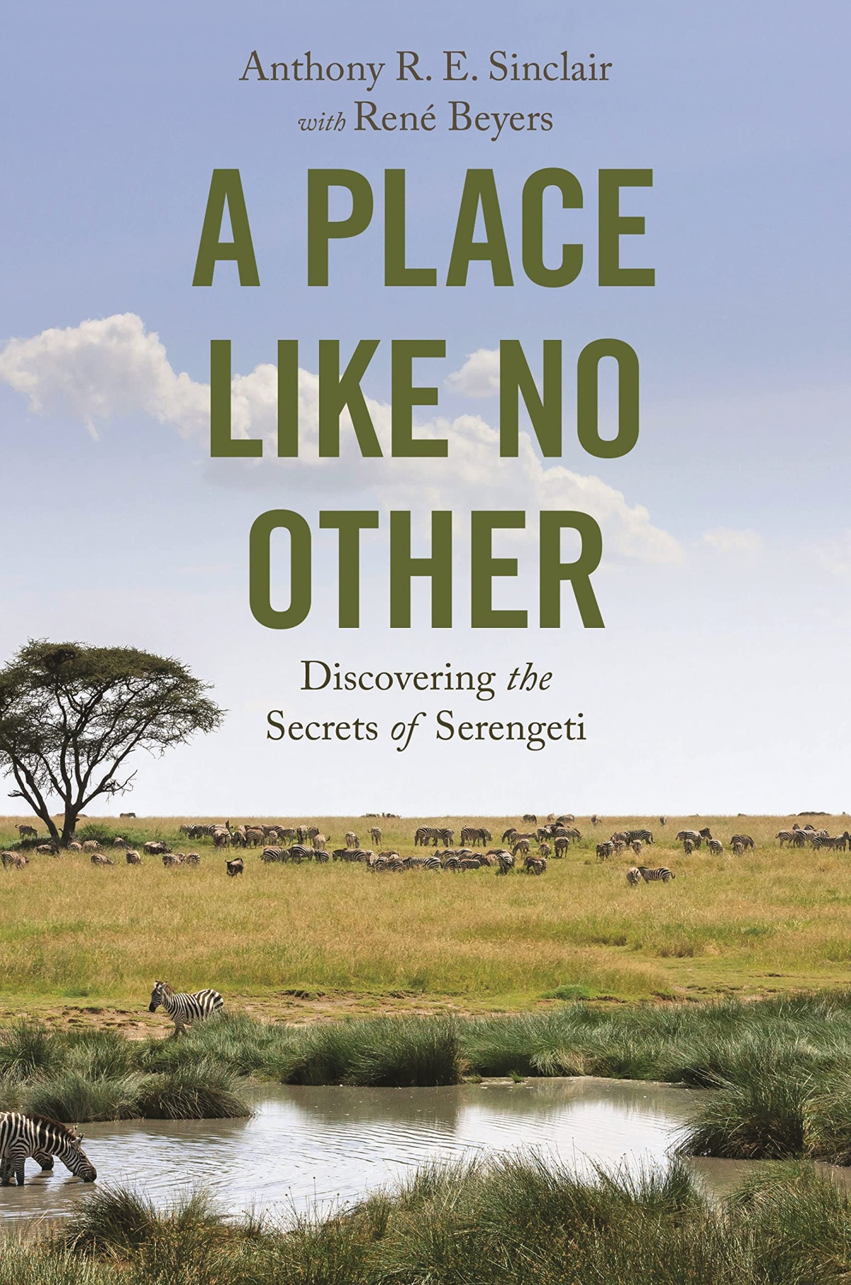 A Place Like No Other Discovering The Secrets Of Serengeti Anthony R E Sinclair