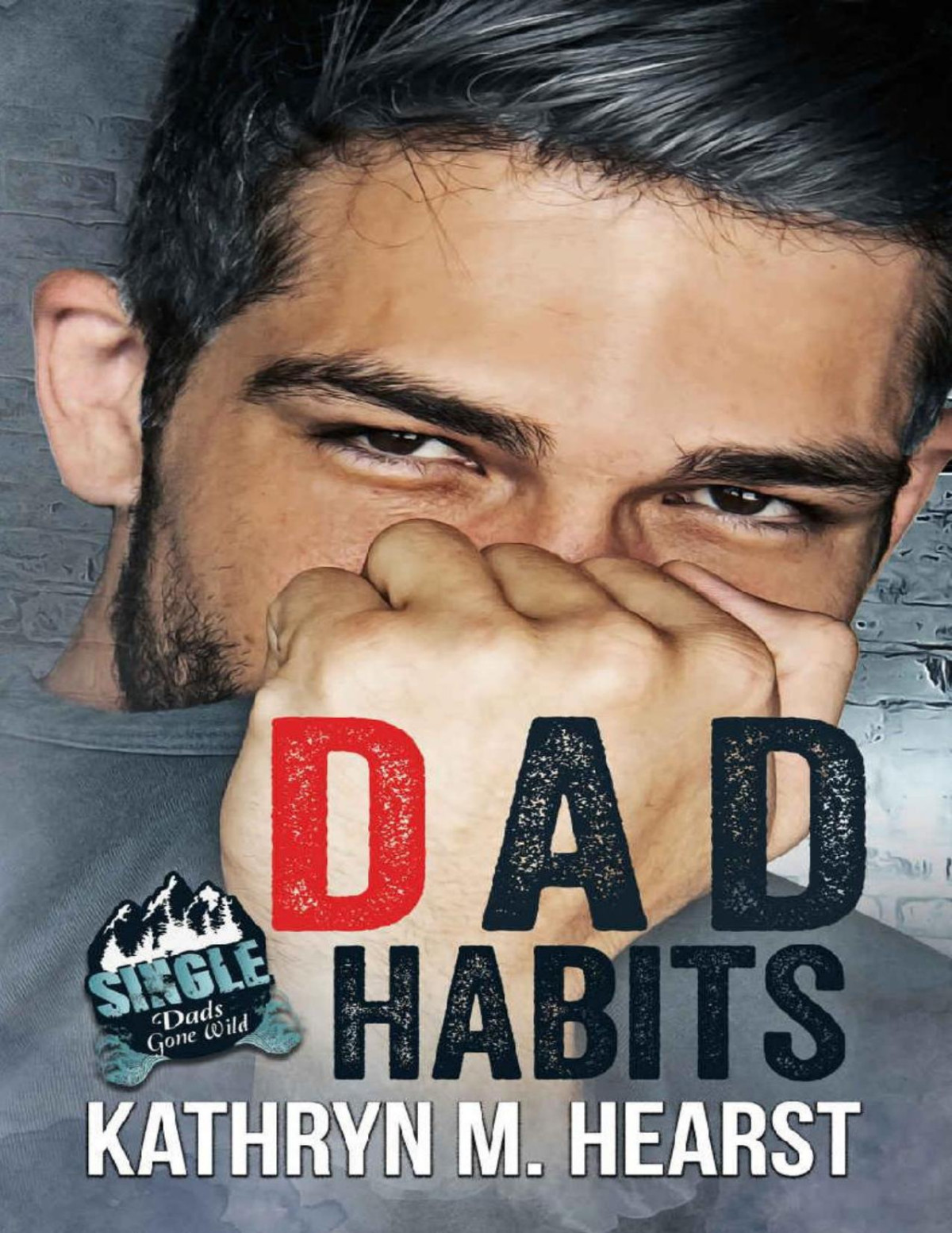 Dad Habits Single Dads Gone Wild Kathryn M Hearst