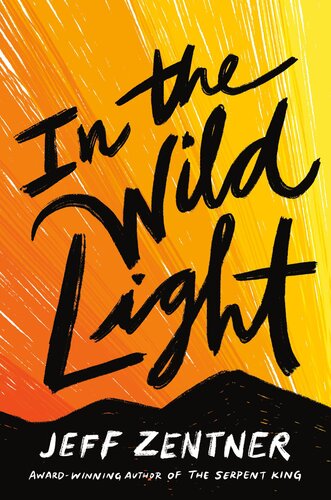 In The Wild Light Jeff Zentner