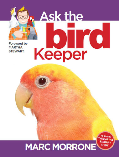 Marc Morrones Ask The Bird Keeper Marc Morrone Amy Fernandez