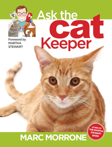 Marc Morrones Ask The Cat Keeper Marc Morrone Amy Fernandez