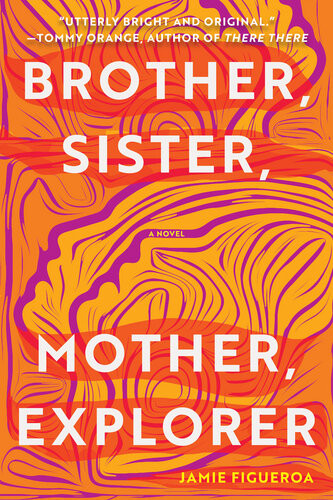 Brother Sister Mother Explorer A Novel Jamie Figueroa